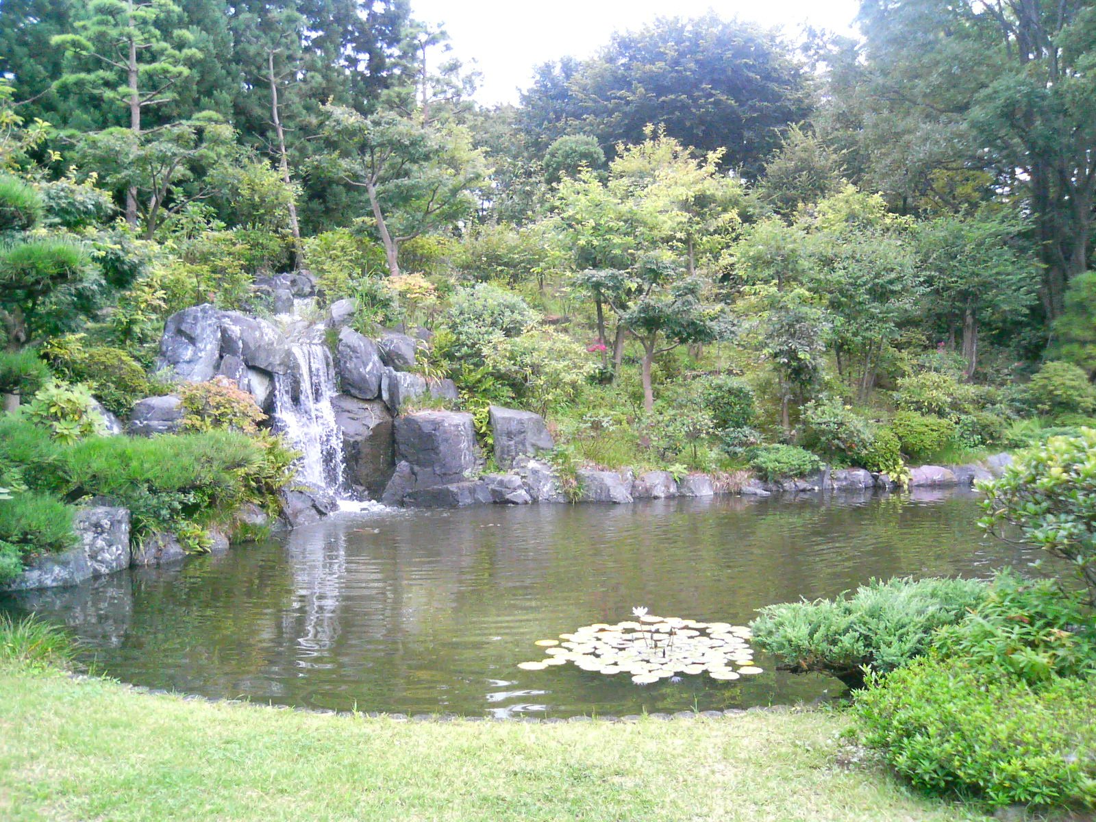 ✈️ 도코로자와 항공기념공원 이미지 8